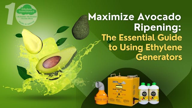 Maximize Avocado Ripening: The Essential Guide to Using Ethylene Generators